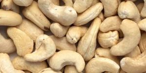 Cashew Nuts