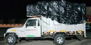 Domestic Courier Services