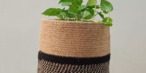 Jute Planter