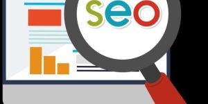 Search Engine Optimization Services