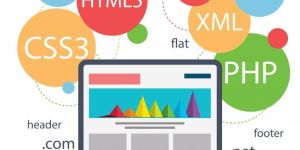 Web Development Services