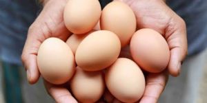 Brown Eggs