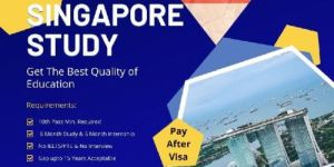 Educational Consultant