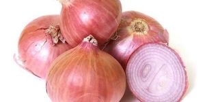 Pink Onion
