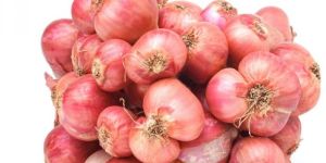 Small Red Onion