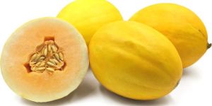 Muskmelon