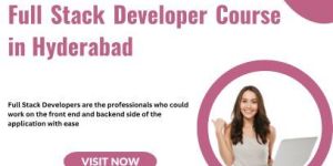 Full-Stack Developer