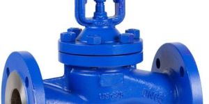 Globe Valve