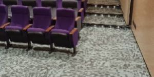 PVC Carpet