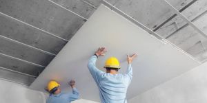 Gypsum Board
