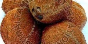 Semi Husked Coconuts
