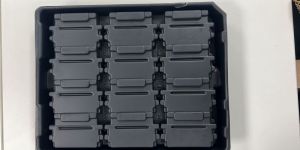 Food Container Thermoformed Tray