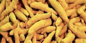 Natural Turmeric Finger