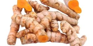 Raw Turmeric Finger