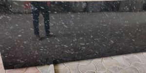 Polished Black Pearl Granite Slabs