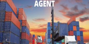 Cargo Clearing & Forwarding Services