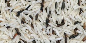 Basmati Rice