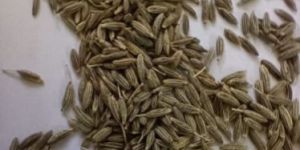 Cumin Seeds