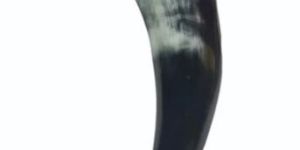 11inch Buffalo Drinking Horn