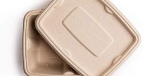 500 Ml Disposable Rectangle Bagasse Bowls