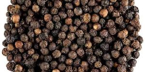 Black Pepper