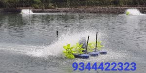 Paddle Wheel Aerator