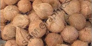 a Grade Husked Coconut