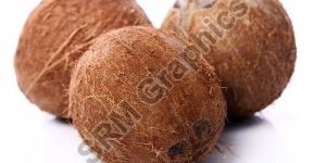 a Grade Semi Husked Coconut
