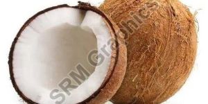 Brown Coconut