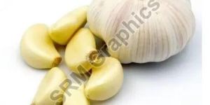 Fresh Garlic