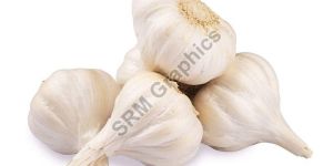 White Garlic