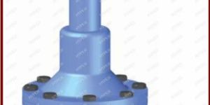 Nitrogen Blanketing Valve