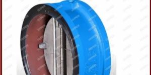 Stainless Steel Dual Plate Check Valve