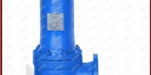 Thermal Relief Valve