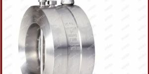 Wafer Lug Type Dual Plate Valve