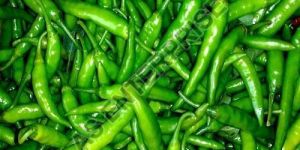Fresh Green Chilli