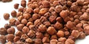 Organic Black Chickpeas