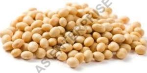 Organic Soybean Seeds