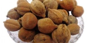 Dried Baheda Fruit