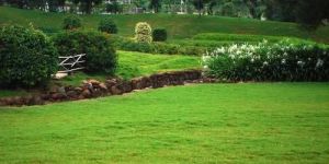 Landscape Development and Consultancy Services