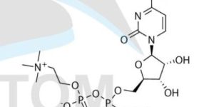Citicoline Sodium API