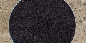 Black Kavuni RIce