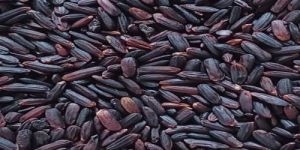 Black Rice