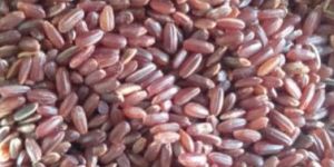 Mappillai Samba Rice