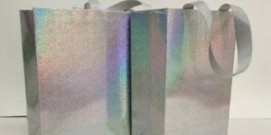 Silver Printed Paper Carry Bag