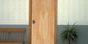 Wooden Flush Door
