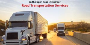 Tempo Transport Service