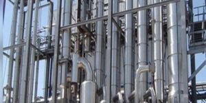 Milk Condensed Plant