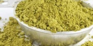 Gymnema Sylvestre Extract