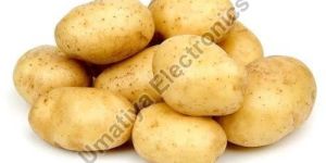 Fresh Potato